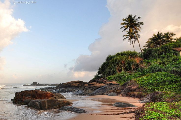 7-Day Sri Lanka Cultural & Coastal Explorer Tour